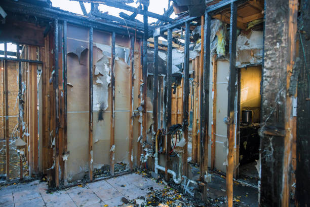Professional Fire Damage Assessment technician working in Woodlyn, PA